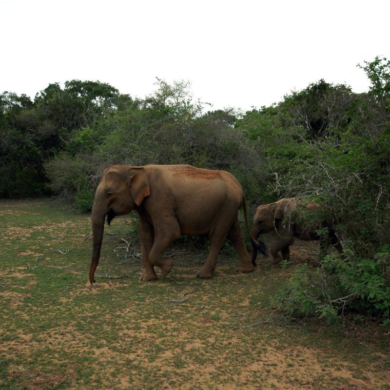 pexels-alfred-franz-114875410-32964276